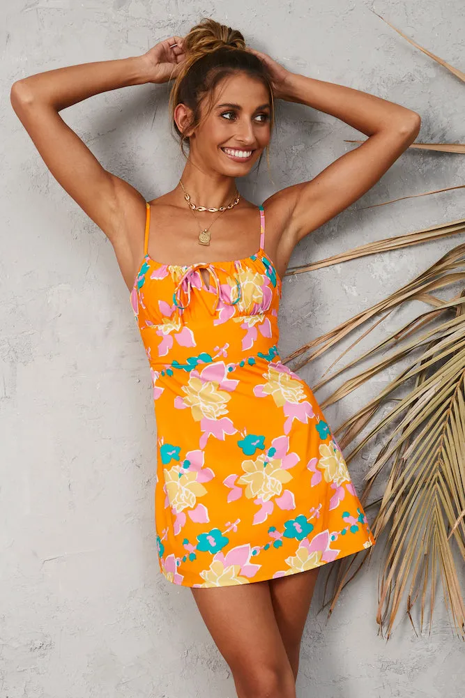 Aurora Blooms Dress
