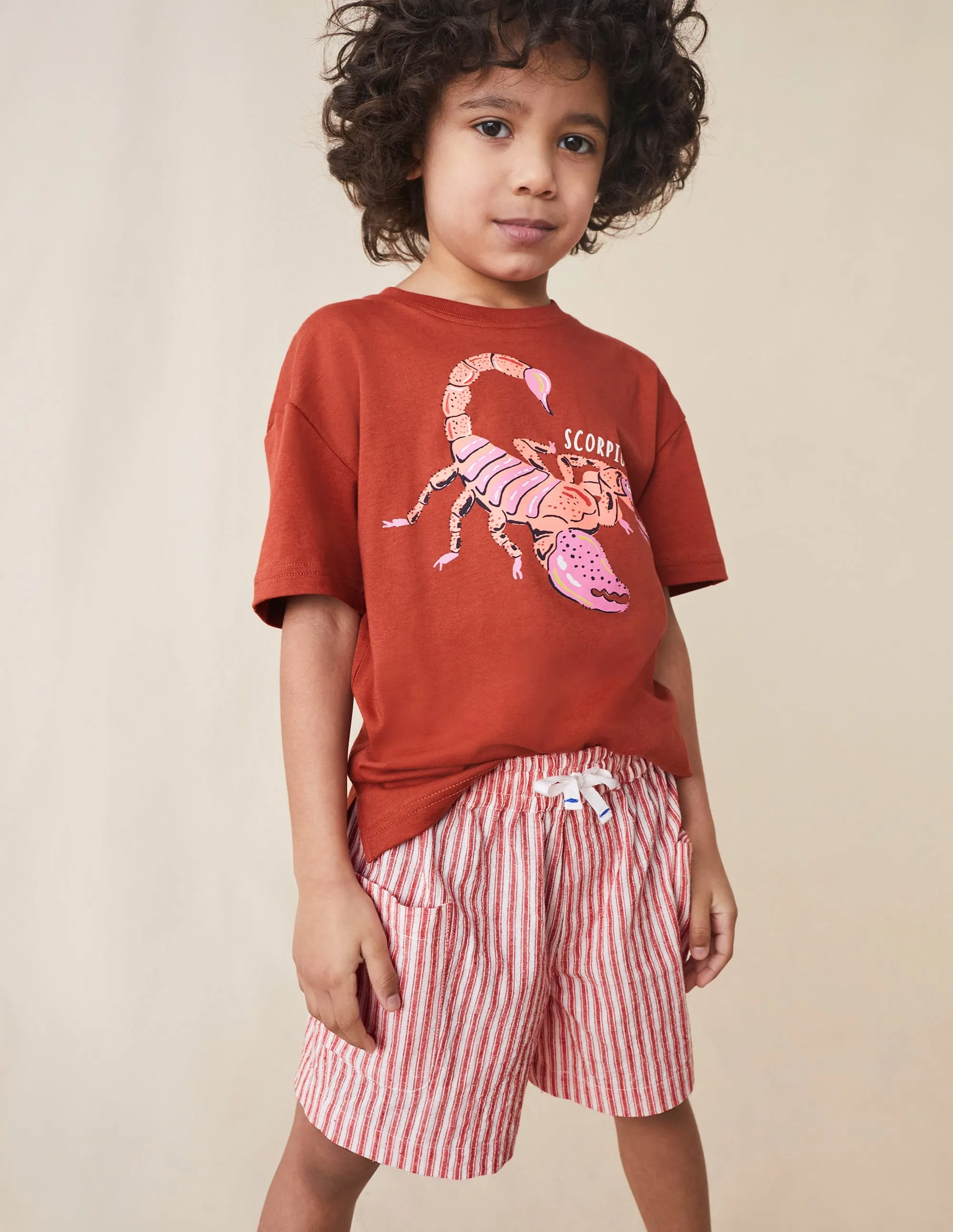 Pocket Shorts-Strawberry Tart Red Ticking