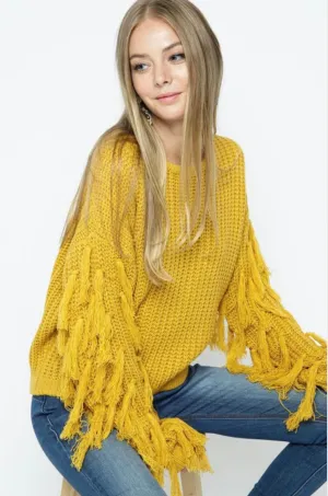 Thea Cropped Fringed Sweater